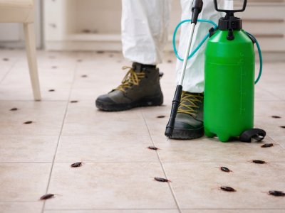 Pest Control - Get quotes from verified professionals