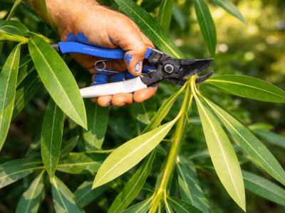Gardening service category image